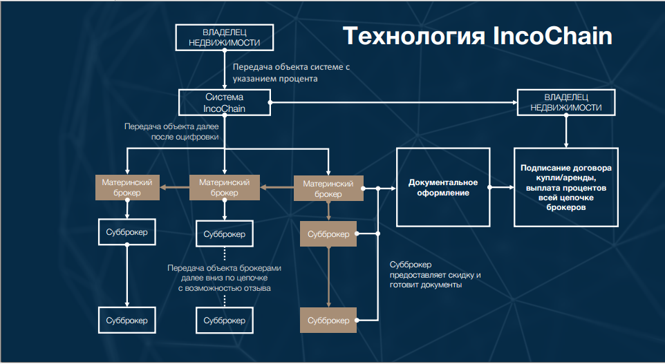 Благодаря новой системе риелторы смогут продавать недвижимость от застройщиков