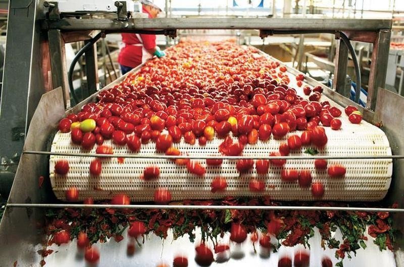 Крупнейший производитель томатной пасты построит завод по сушке овощей