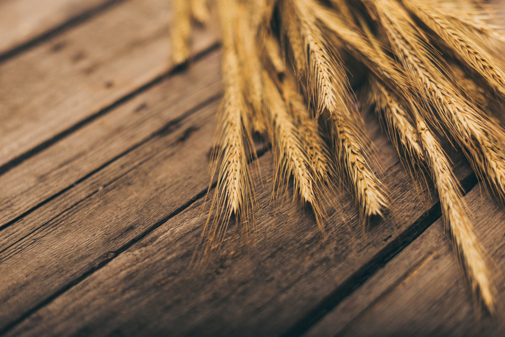 Минагро не будет вводить квоты на экспорт продовольственной пшеницы