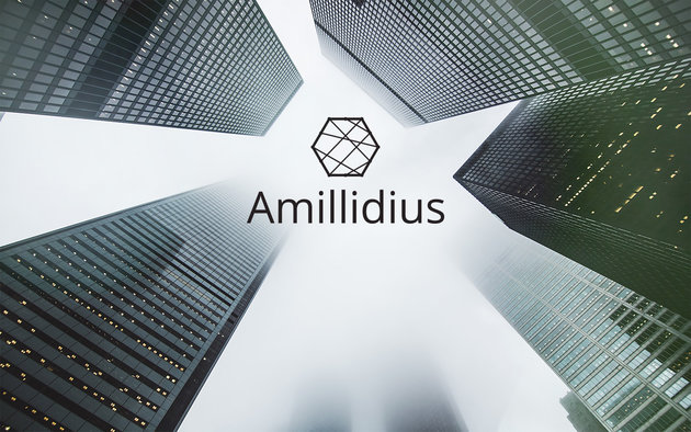 Amillidius процесс создания продукта от А до Я